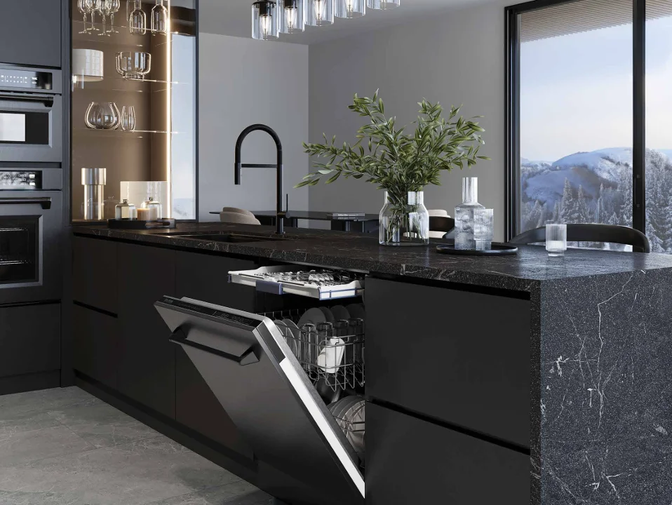 dishcover 1