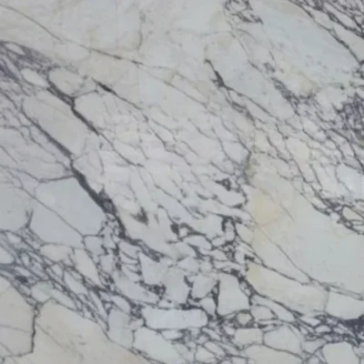 Calcatta Viola